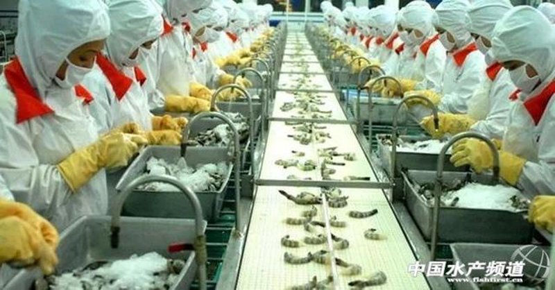 蟹类批发：渔业经济的新风向