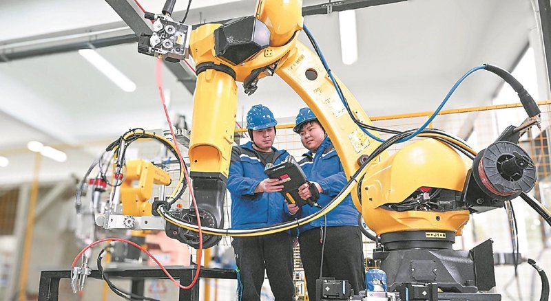 虾类批发市场：动态与趋势