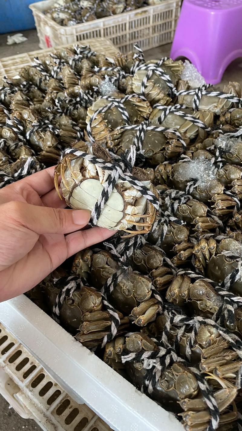 蟹类批发行业的最新趋势