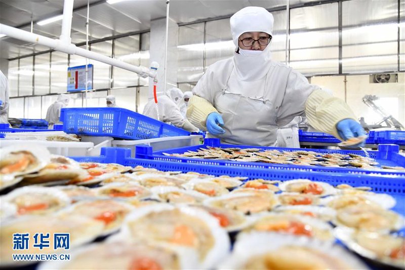 虾类批发：市场的变化与机遇