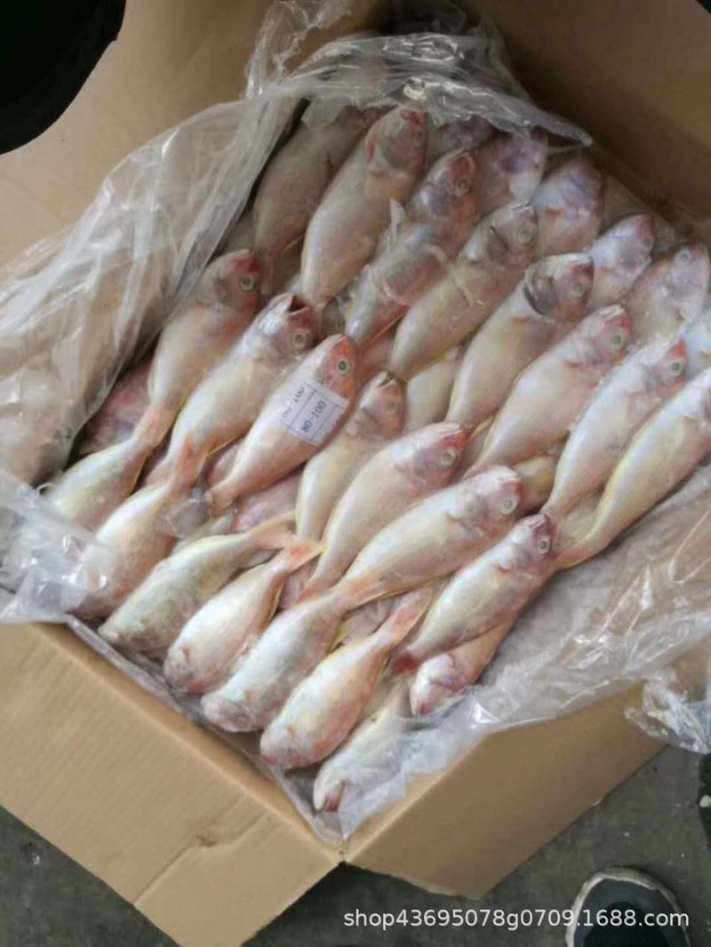 诸暨海产品批发选购攻略：让你轻松找到新鲜美味！