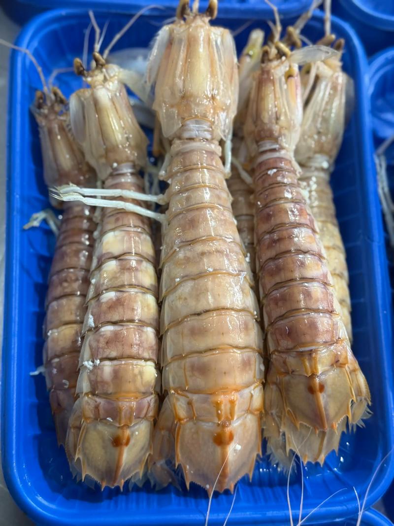 诸暨海产品批发：从市场热闻到行业未来趋势