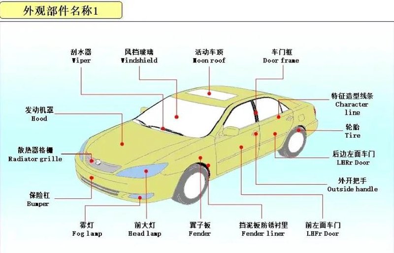 虾类批发行业的最新动态