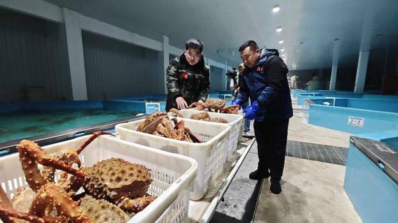 鲜活蟹类批发迎来行业旺季