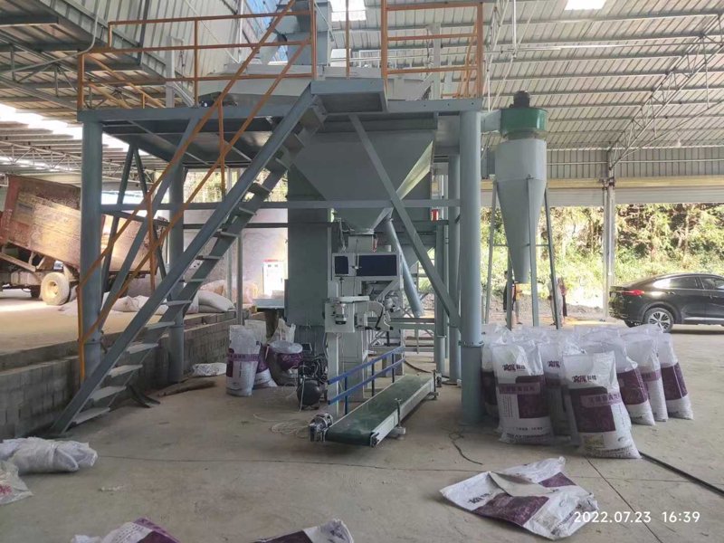 活力鱼市：鱼类批发的新篇章