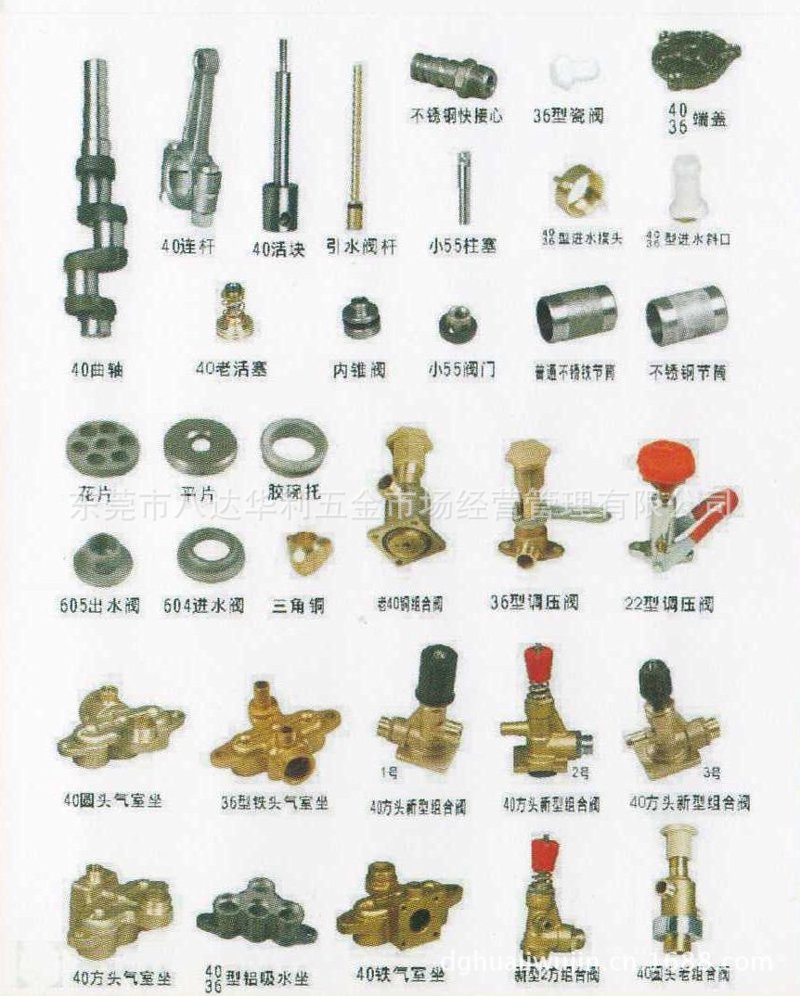 如何选购优质鱼类？一份实用指南